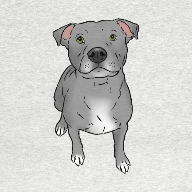 Gray Pitbull, Sitting Pittie by sockdogs